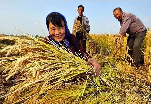 重磅！繼包產(chǎn)到戶之后，我國農(nóng)村又一次迎來重大改革
